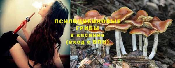 скорость Аркадак