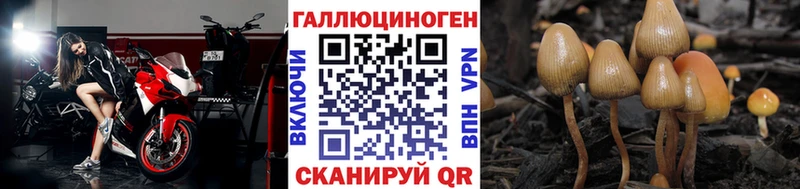 где продают наркотики  МЕГА tor  Галлюциногенные грибы мицелий  Таруса 